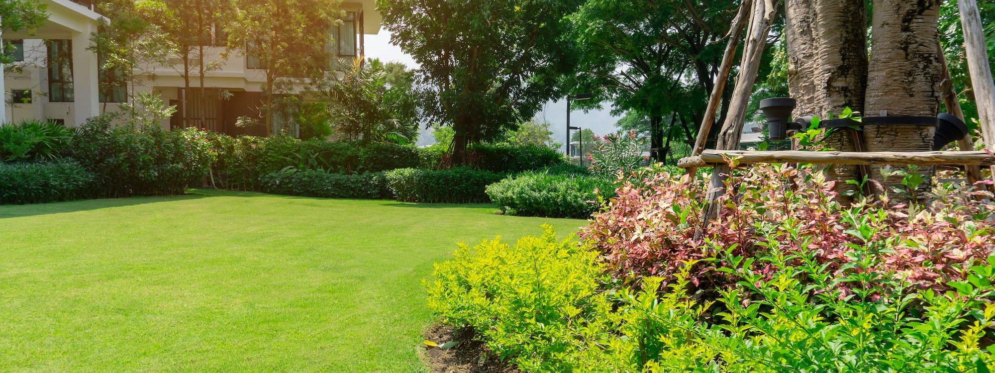 Wolff Jardin Services, votre partenaire local Obernai