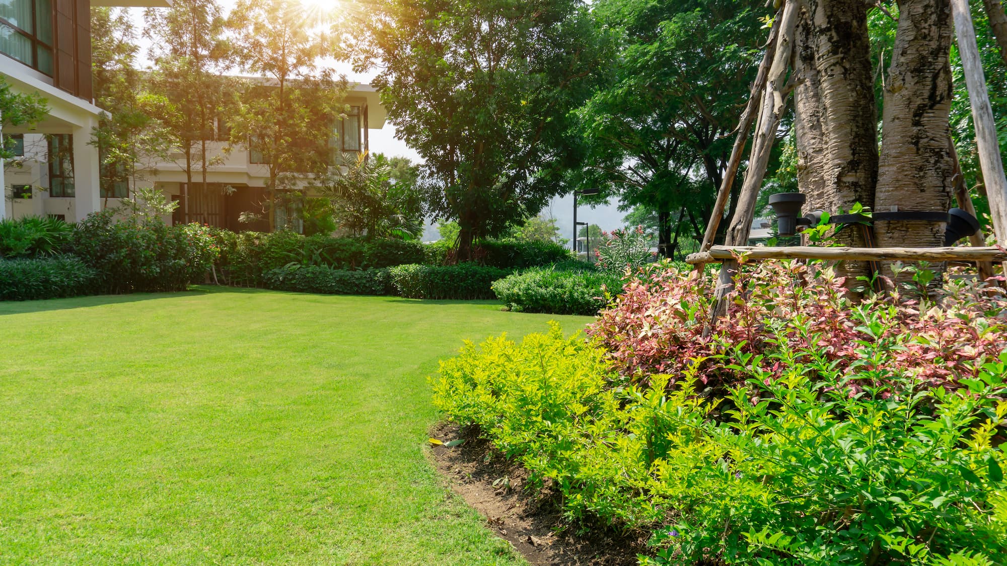 Wolff Jardin Services, votre partenaire local Obernai