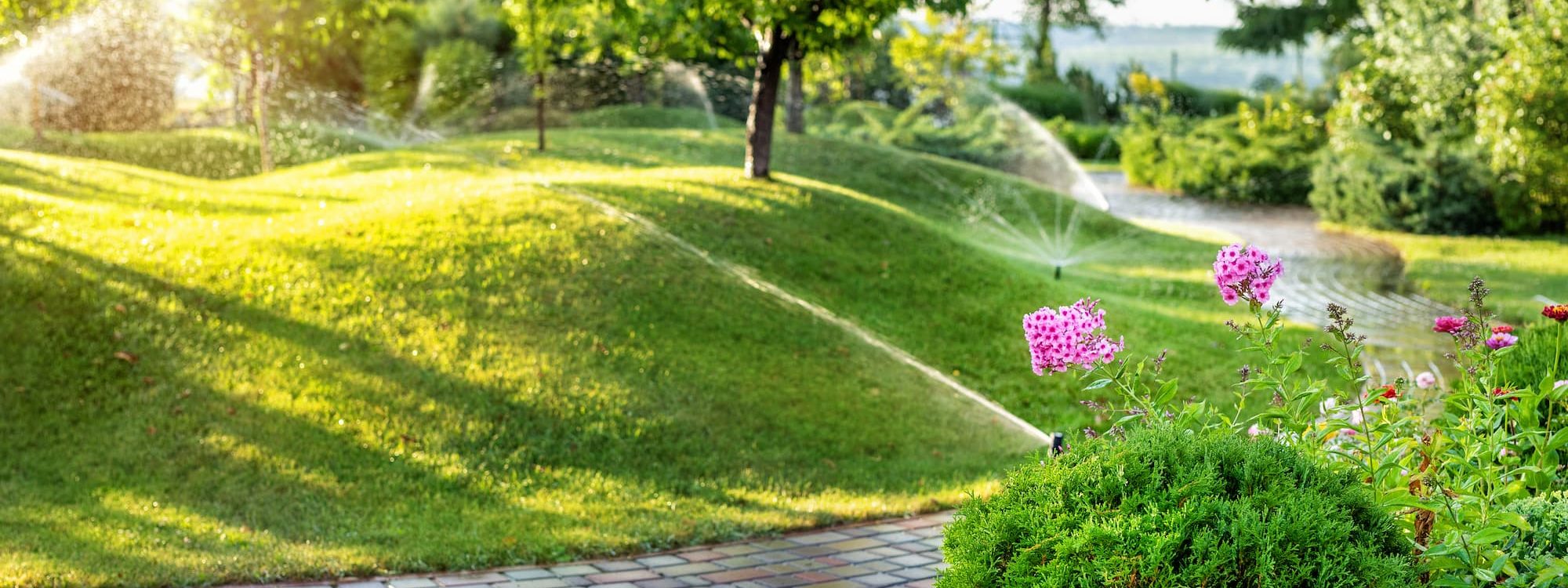 HOME BG1 2000X750 | Wolff Jardin Services Entretien d’espaces verts et petits travaux près de Strasbourg Erstein