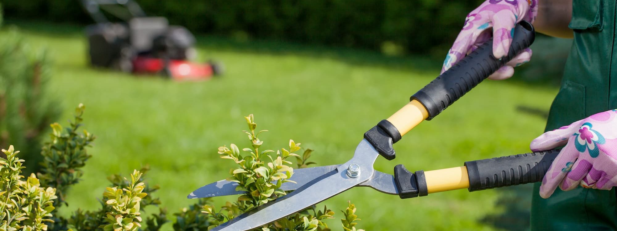 Bénéficiez d&#8217;un crédit d&#8217;impôt grâce à nos services d&#8217;aide à la personne en entretien de jardin ! Bischheim