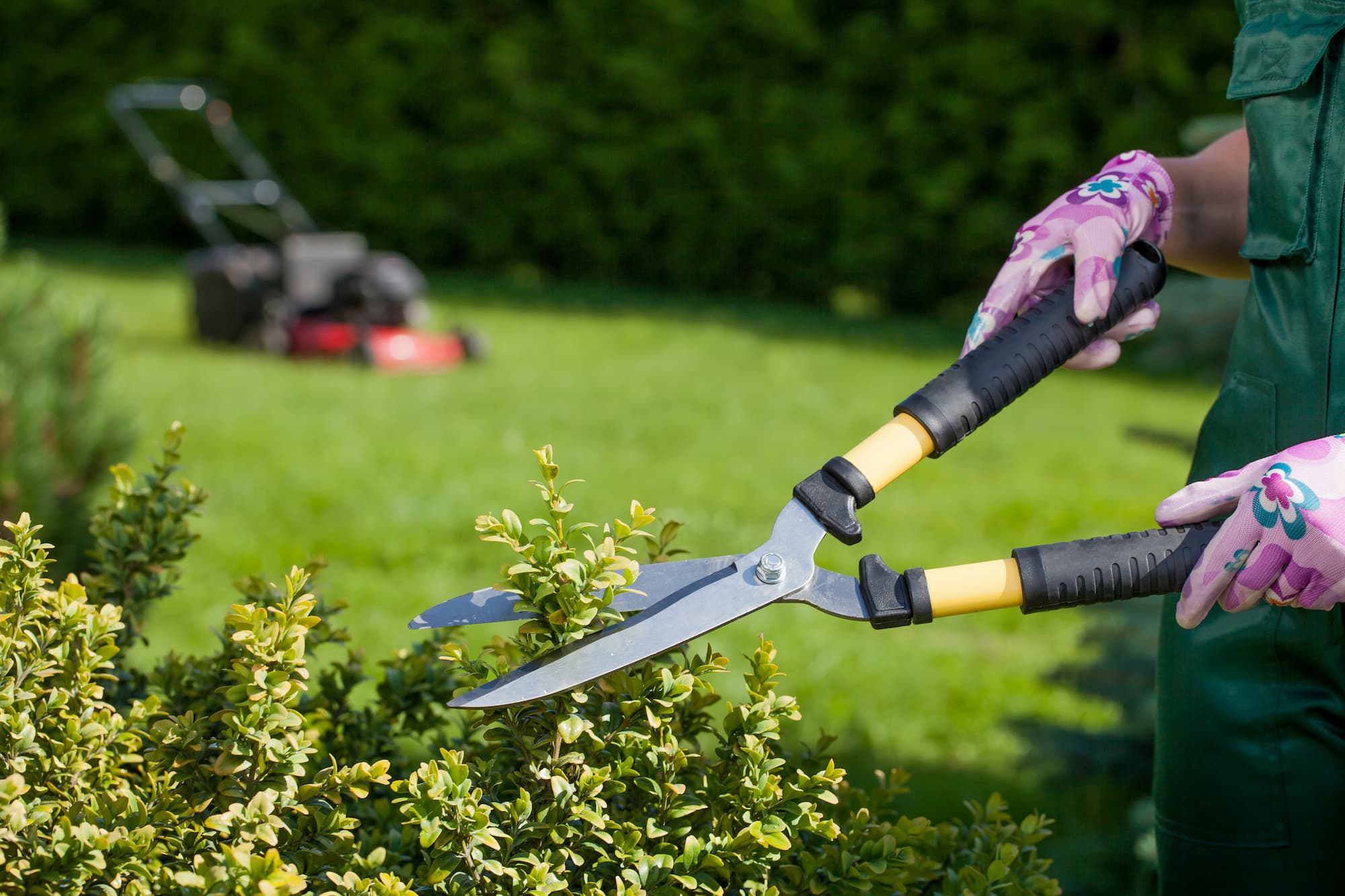 Bénéficiez d&#8217;un crédit d&#8217;impôt grâce à nos services d&#8217;aide à la personne en entretien de jardin ! Bischheim