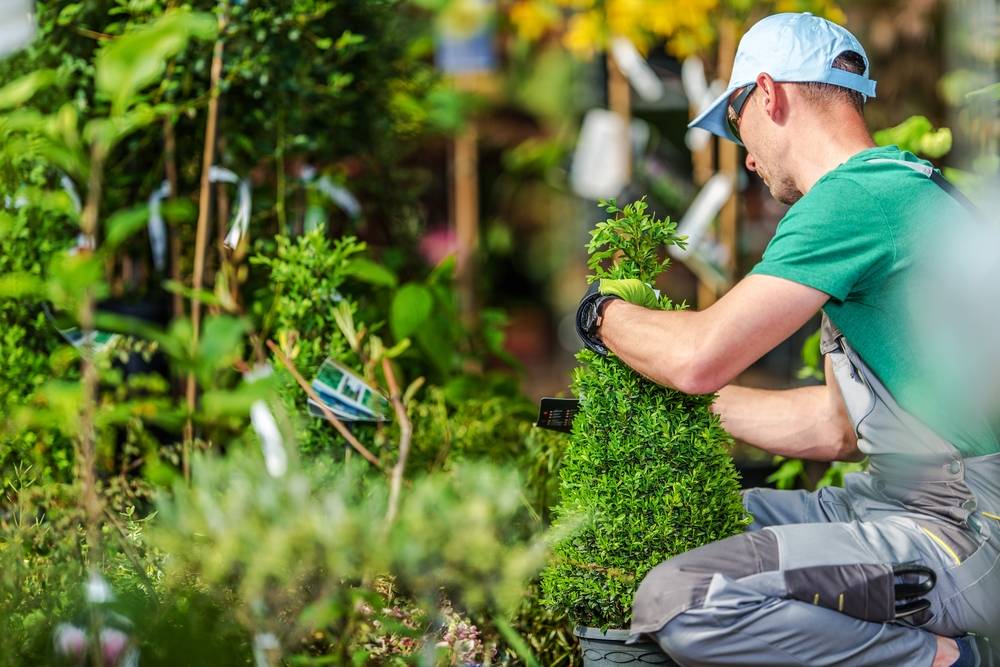 Comment bien entretenir son jardin ? Illkirch-Graffenstaden